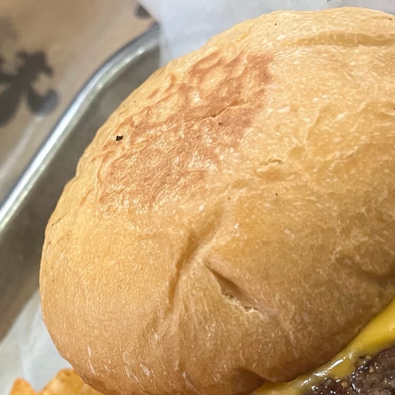 Delicious Burger Offerings